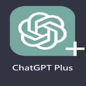 ChatGPT Plus (1 User, 1 Month) - ChatGPT Account