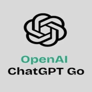 ChatGPT Direct Top Up Go (1 Month)