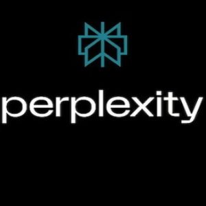 Perplexity Enterprise Pro 1 Year - Perplexity Key