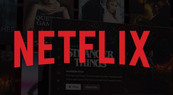Netflix Subscriptions